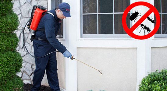 Evka 5 Haşere İlaçlama böcek ilaçlama ve haşere kontrolü — ilaclama-tr.com